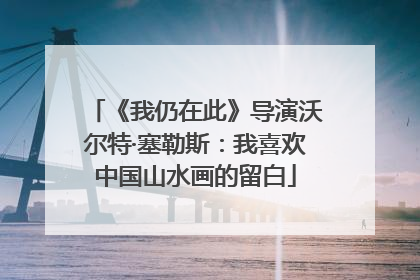 《我仍在此》导演沃尔特·塞勒斯：我喜欢中国山水画的留白