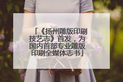 《扬州雕版印刷技艺志》首发，为国内首部专业雕版印刷全媒体志书