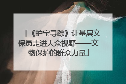 《护宝寻踪》让基层文保员走进大众视野——文物保护的群众力量