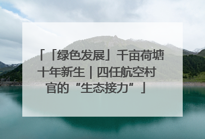 「绿色发展」千亩荷塘 十年新生｜四任航空村官的“生态接力”
