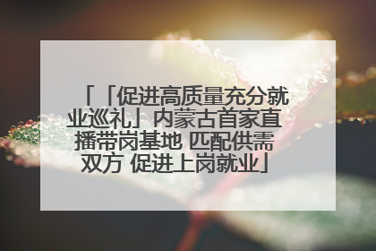 「促进高质量充分就业巡礼」内蒙古首家直播带岗基地 匹配供需双方 促进上岗就业