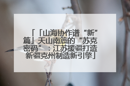 「山海协作谱“新”篇」天山南簏的“苏克密码”：江苏援疆打造新疆克州制造新引擎