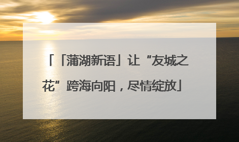 「蒲湖新语」让“友城之花”跨海向阳，尽情绽放