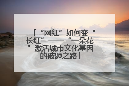 “网红”如何变“长红”——“一朵花”激活城市文化基因的破题之路