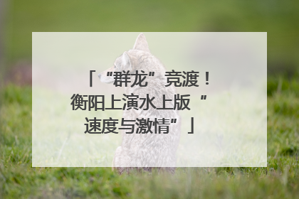“群龙”竞渡！衡阳上演水上版“速度与激情”