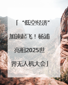 “低空经济”加速起飞！杨浦亮相2025世界无人机大会