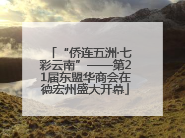 “侨连五洲·七彩云南”——第21届东盟华商会在德宏州盛大开幕