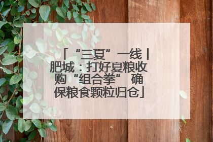 “三夏”一线丨肥城：打好夏粮收购“组合拳” 确保粮食颗粒归仓
