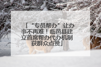 “专员帮办”让办事不再难！临邑县建立首席帮办代办机制获群众点赞