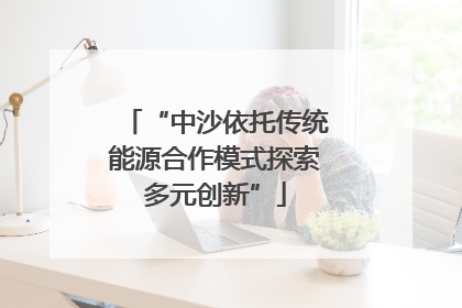 “中沙依托传统能源合作模式探索多元创新”