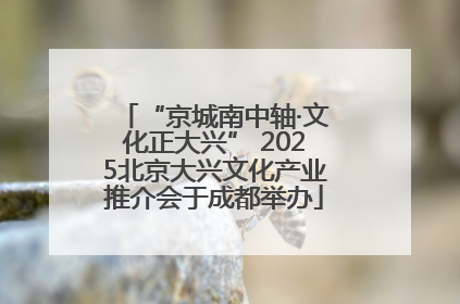 “京城南中轴·文化正大兴” 2025北京大兴文化产业推介会于成都举办