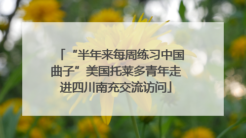 “半年来每周练习中国曲子”美国托莱多青年走进四川南充交流访问