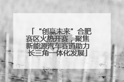“创赢未来”合肥赛区火热开赛，聚焦新能源汽车赛道助力长三角一体化发展