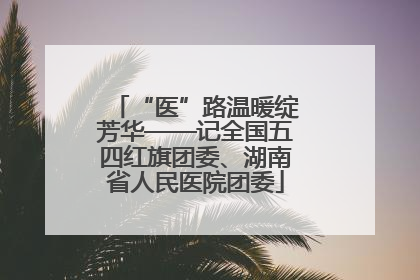 “医”路温暖绽芳华——记全国五四红旗团委、湖南省人民医院团委