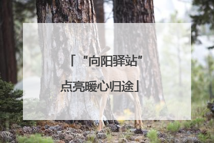 “向阳驿站”点亮暖心归途