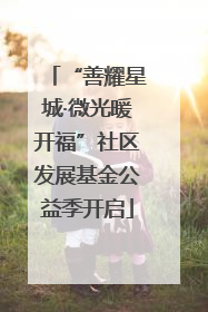 “善耀星城·微光暖开福”社区发展基金公益季开启