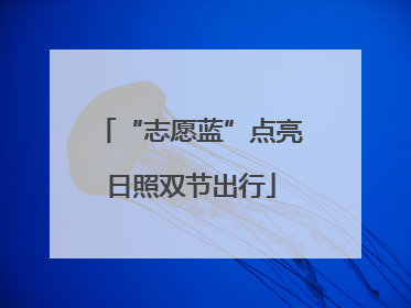 “志愿蓝”点亮日照双节出行