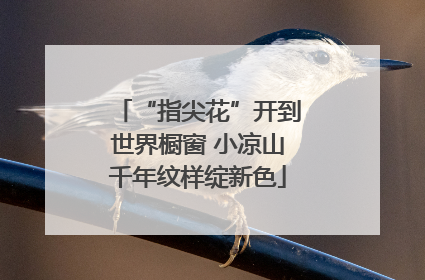 “指尖花”开到世界橱窗 小凉山千年纹样绽新色