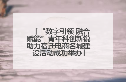 “数字引领 融合赋能”青年科创新锐助力宿迁电商名城建设活动成功举办