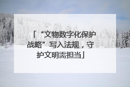 “文物数字化保护战略”写入法规，守护文明需担当