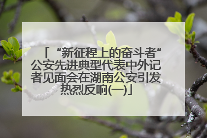 “新征程上的奋斗者”公安先进典型代表中外记者见面会在湖南公安引发热烈反响(一)