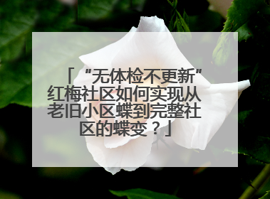 “无体检不更新”红梅社区如何实现从老旧小区蝶到完整社区的蝶变？