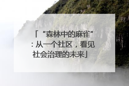 “森林中的麻雀”：从一个社区，看见社会治理的未来