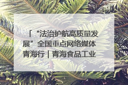 “法治护航高质量发展”全国重点网络媒体青海行｜青海食品工业协会：架起“青字号”美食的产业化桥梁