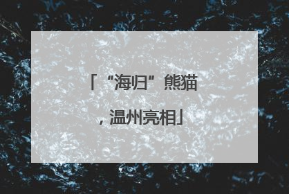 “海归”熊猫，温州亮相