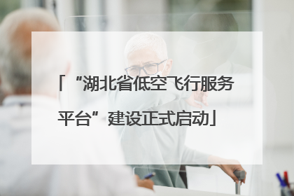 “湖北省低空飞行服务平台”建设正式启动
