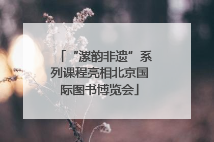 “漯韵非遗”系列课程亮相北京国际图书博览会