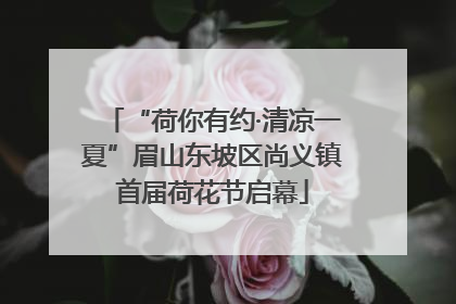 “荷你有约·清凉一夏”眉山东坡区尚义镇首届荷花节启幕