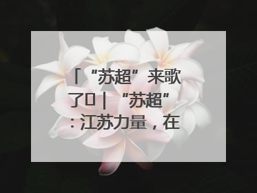 “苏超”来歌了⑪｜“苏超”：江苏力量，在这里聚焦
