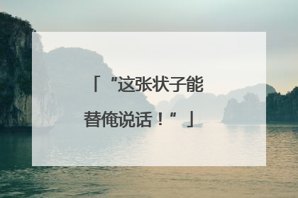 “这张状子能替俺说话！”