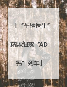 “车辆医生”精雕细琢“AD钙”列车