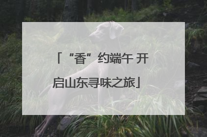 “香”约端午 开启山东寻味之旅
