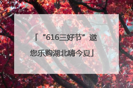 “616三好节”邀您乐购湖北嗨今夏