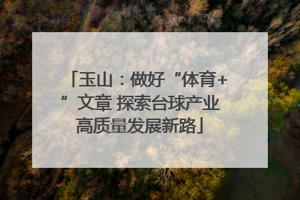 玉山：做好“体育+”文章 探索台球产业高质量发展新路