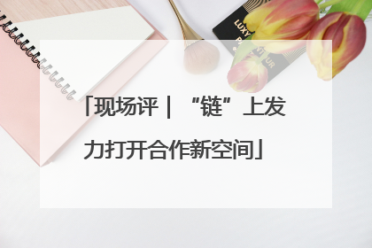 现场评｜“链”上发力打开合作新空间