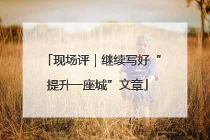 现场评｜继续写好“提升一座城”文章