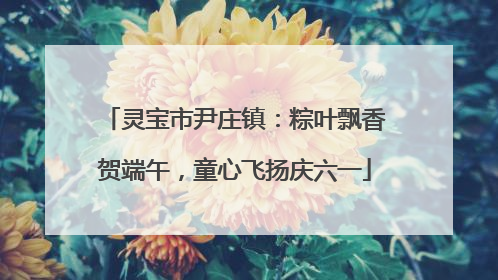 灵宝市尹庄镇：粽叶飘香贺端午，童心飞扬庆六一