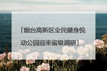烟台高新区全民健身悦动公园迎来省级调研