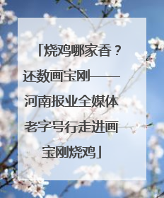 烧鸡哪家香？还数画宝刚——河南报业全媒体老字号行走进画宝刚烧鸡