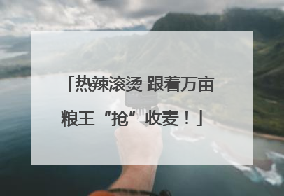 热辣滚烫 跟着万亩粮王“抢”收麦！