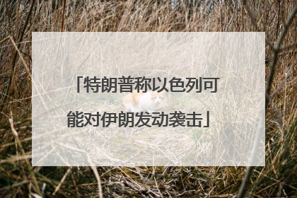 特朗普称以色列可能对伊朗发动袭击