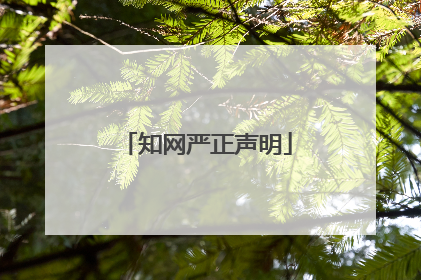 知网严正声明