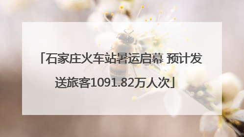 石家庄火车站暑运启幕 预计发送旅客1091.82万人次