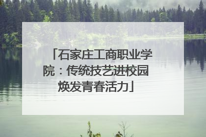 石家庄工商职业学院：传统技艺进校园焕发青春活力
