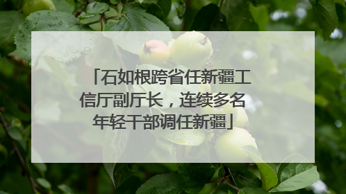 石如根跨省任新疆工信厅副厅长，连续多名年轻干部调任新疆
