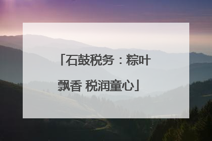 石鼓税务：粽叶飘香 税润童心
